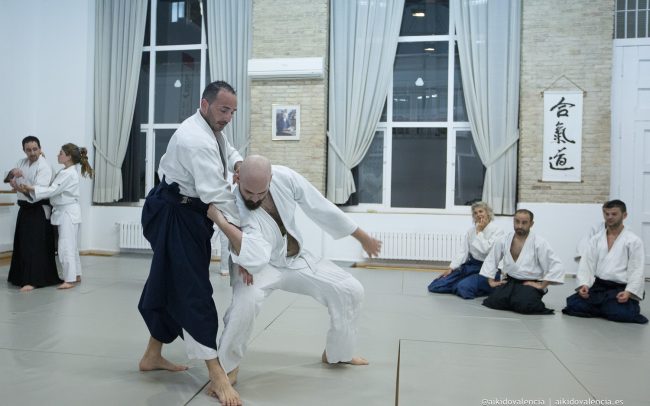 aikido-con-iván-rigual-sensei-en-sintagma-10