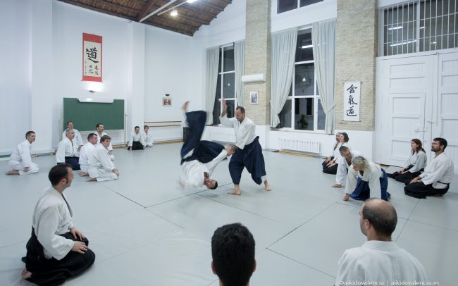aikido-con-iván-rigual-sensei-en-sintagma-15